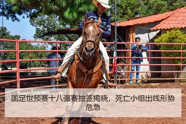 国足世预赛十八强赛抽签揭晓，死亡小组出线形势危急